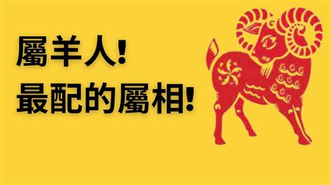 屬羊佩戴2023|【屬羊佩戴2023】屬羊佩戴2023最強運勢！招財吉祥物大公開